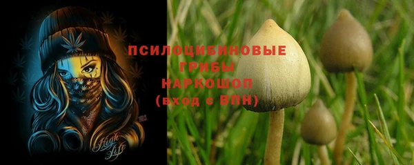 стафф Слюдянка