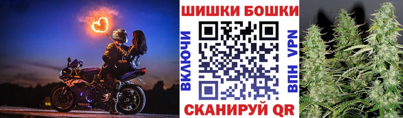 купить наркотик  mega как войти  это какой сайт  Западная Двина  Марихуана гибрид 
